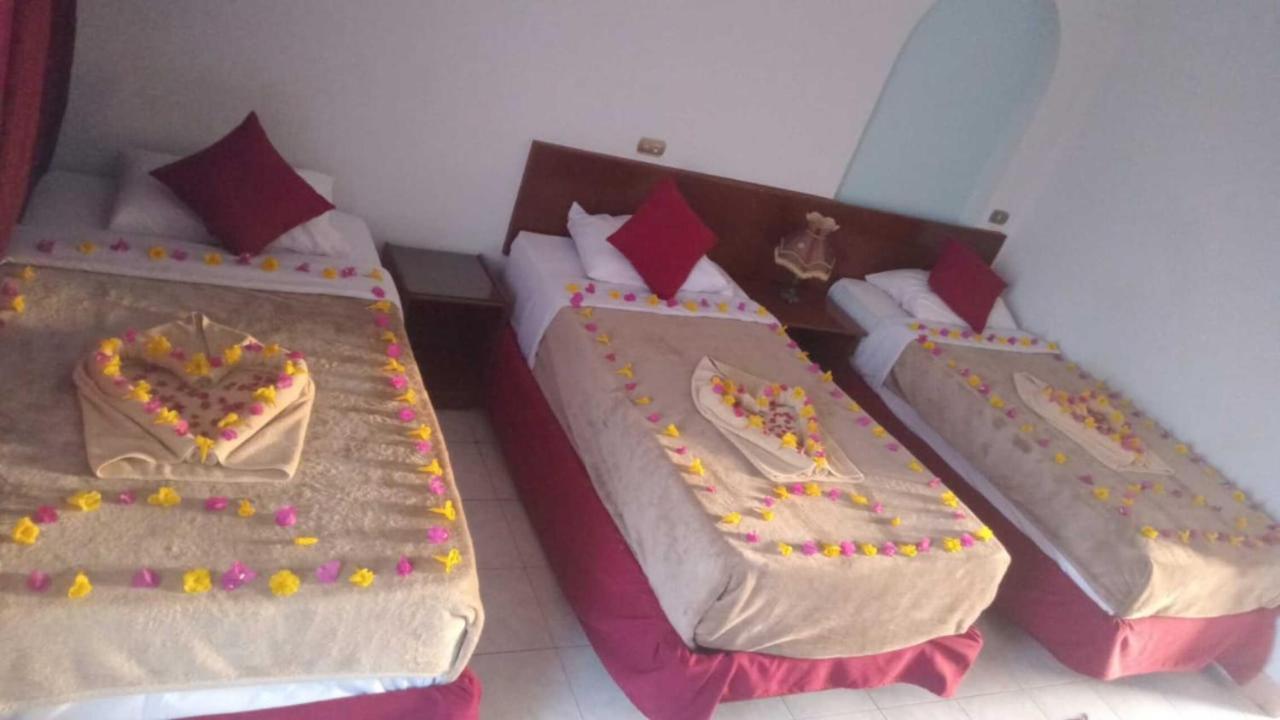 Halomy Sharm Resort Экстерьер фото